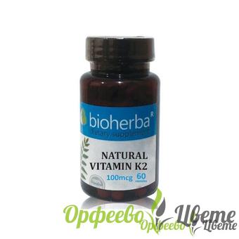 ХРАНИТЕЛНИ ДОБАВКИ Витамини и минерали БИОХЕРБА НАТУРАЛЕН ВИТАМИН К2 капсули 100 мкг. * 60/ Bioherba natural vitamin K 2 100mcg * 60